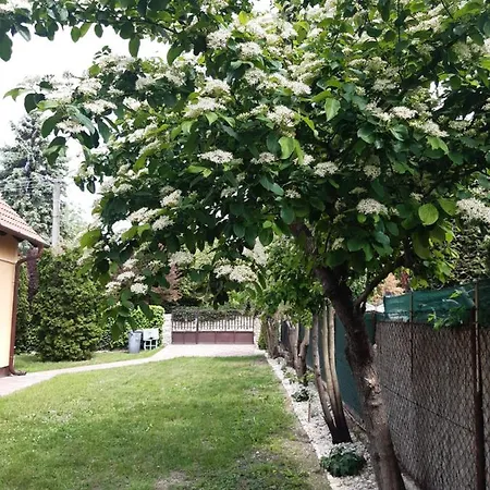 Cs&m Vendeghaz בית נופש *