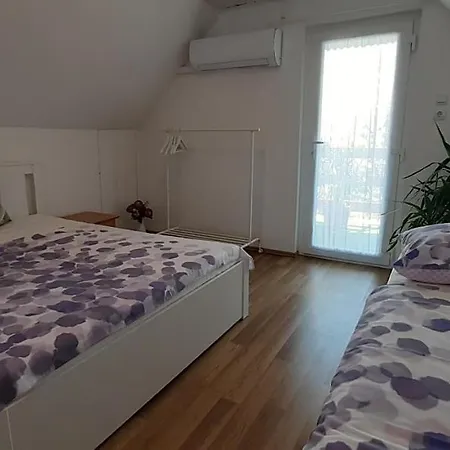 Cs&m Vendeghaz גיינסדיאס