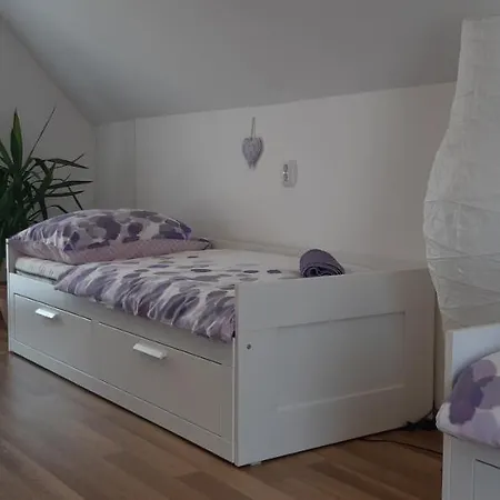 בית נופש Cs&m Vendeghaz *