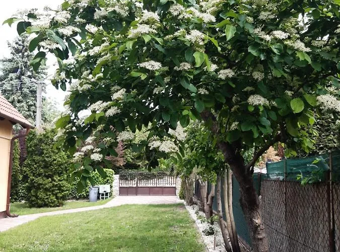 Cs&m Vendeghaz Case de vacanță *