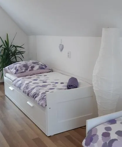 Cs&m Vendeghaz Case de vacanță *