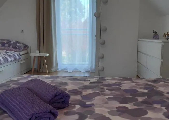 Case de vacanță Cs&m Vendeghaz *