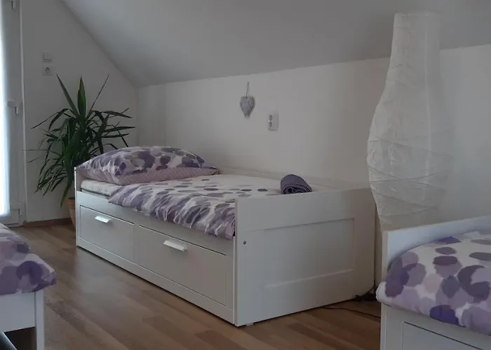 Case de vacanță Cs&m Vendeghaz *