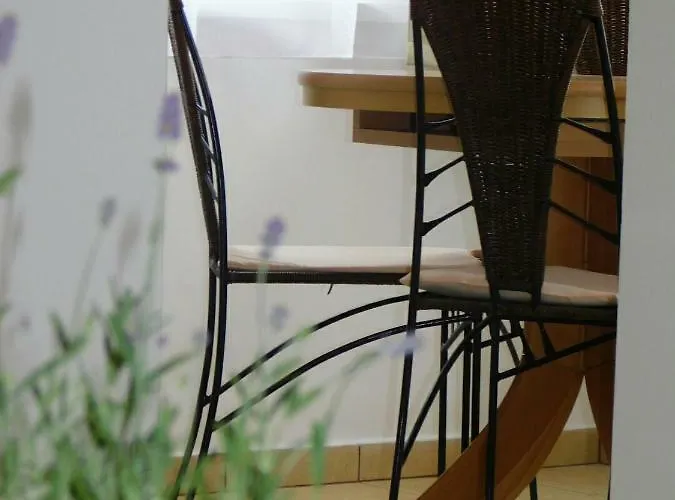 Cs&m Vendeghaz Gyenesdiás